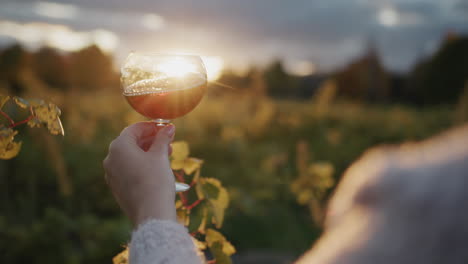 The-taster-holds-a-glass-of-red-wine-against-the-background-of-the-vineyard-where-the-sun-sets.-Tourism-and-wine-tour-concept