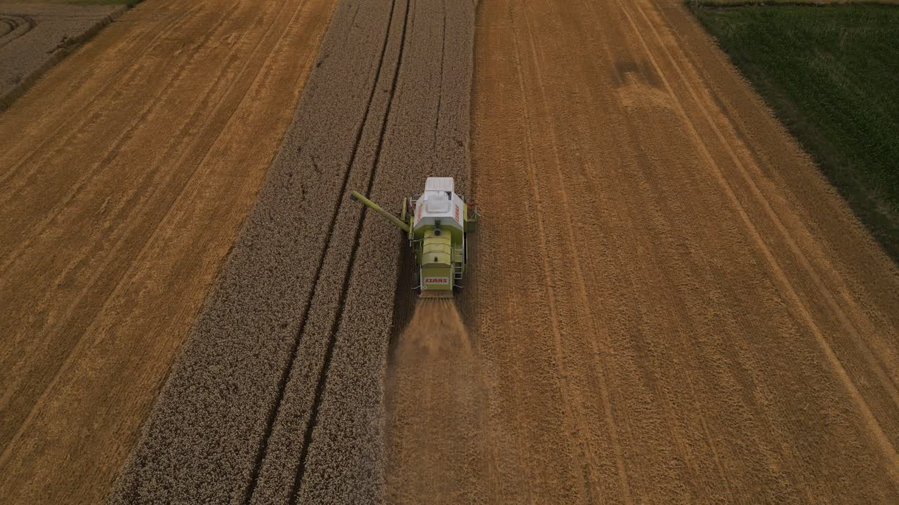 Mietitura di campi di grano con mietitrebbia