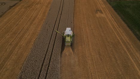 Campos-De-Cosecha-De-Cultivos-De-Trigo-Con-Máquina-Cosechadora