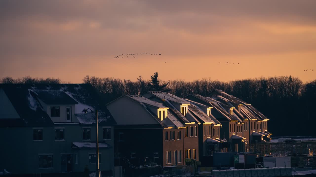 해가 지는 순간에 날아다니는 새 무리의 영화 버전과 배경에 타운하우스입니다.