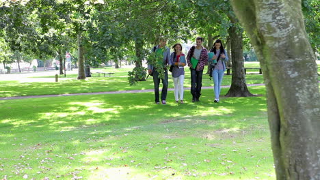 happy students walking on the grass