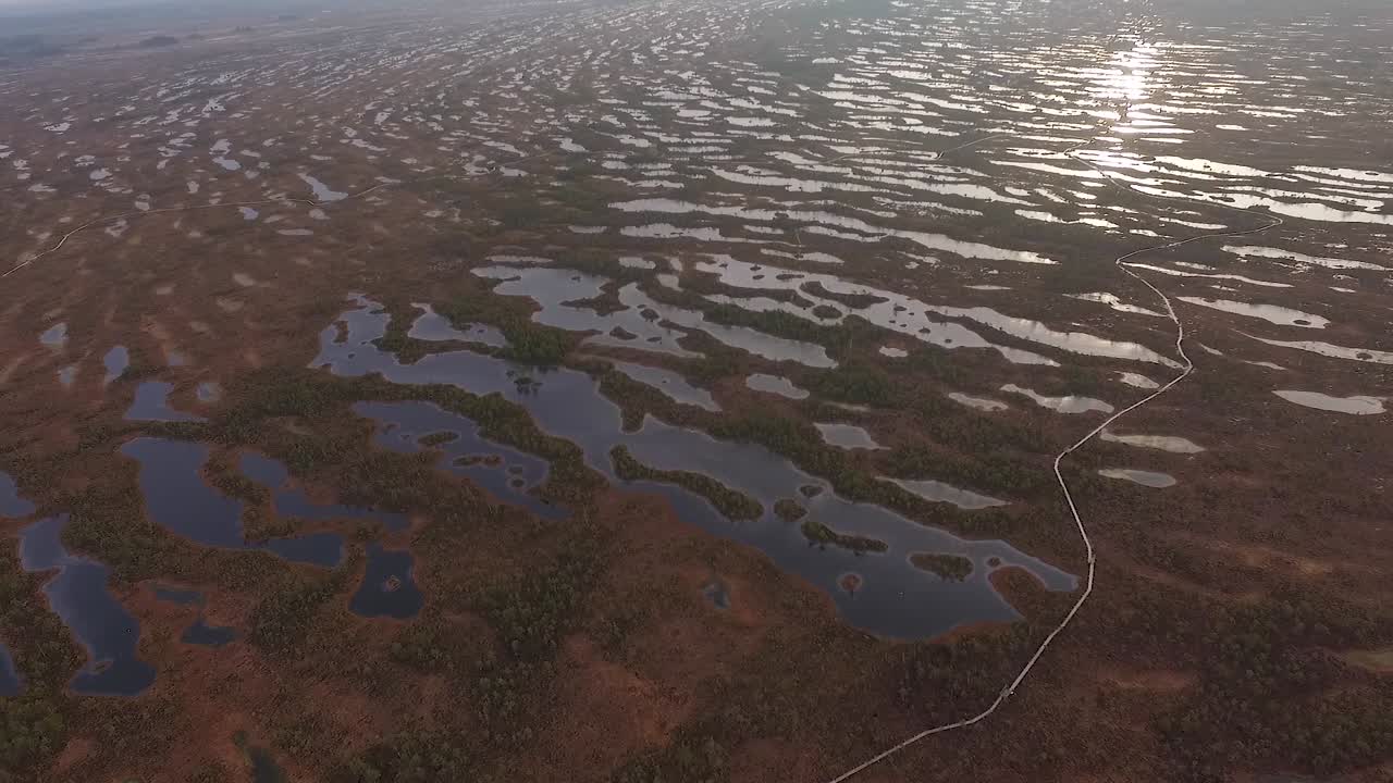 vista aérea de otoño de alto nivel de agua de pantano elevado en kemeri, latvis