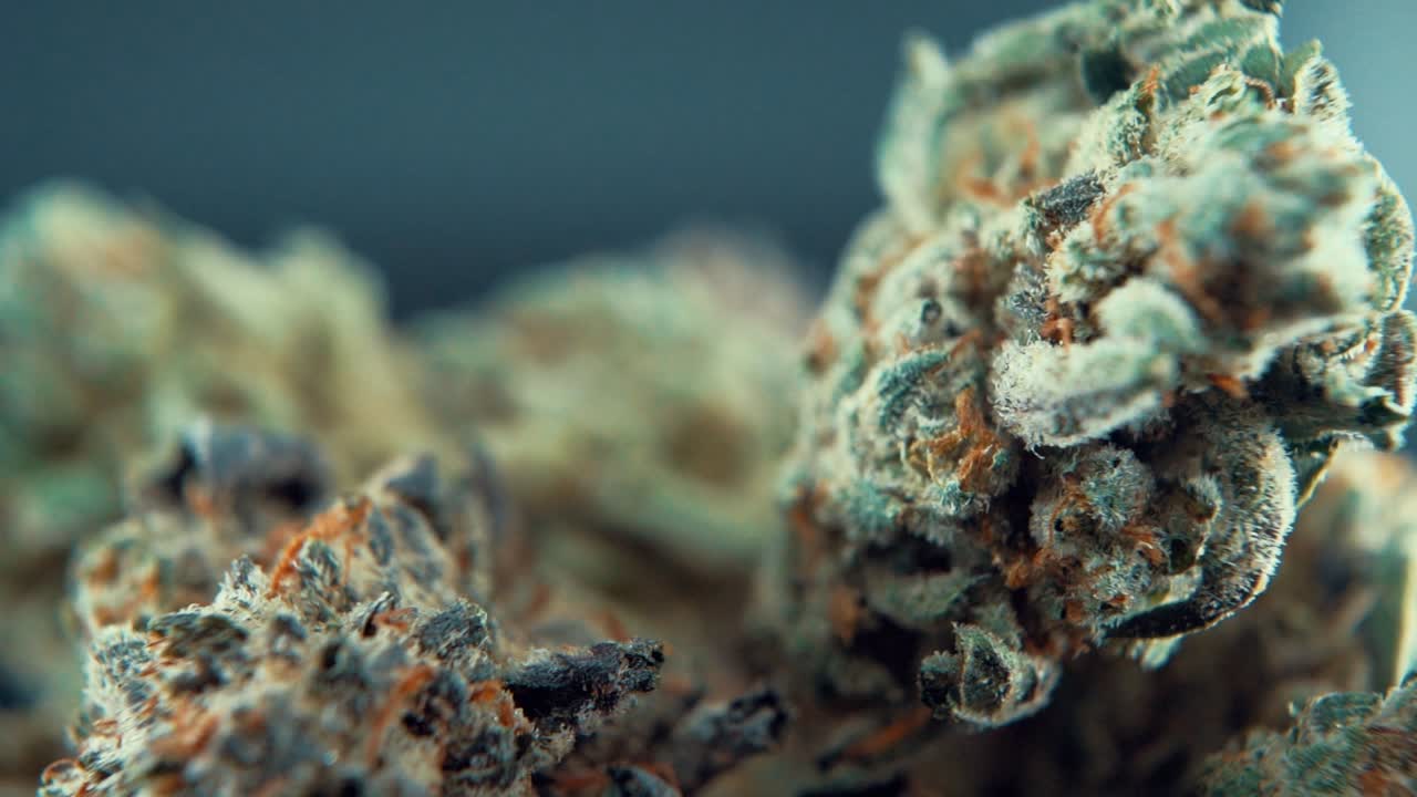 A macro close up cinematic juicy shot of a cannabis plant, marijuana flower, hybrid strains, Indica and sativa, on a 360 rotating stand in a shiny bowl, 120 fps slow motion Full HD, studio light