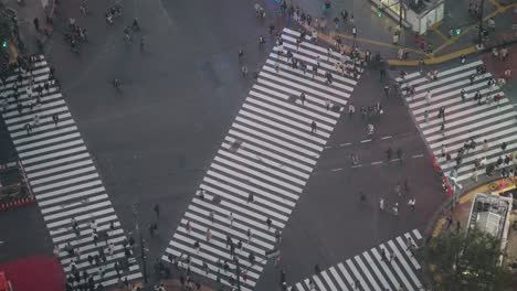 high angle top down long tele shot of pedestrians at the famous shibuya crossing at night in shibuya during the pandemic, real tim