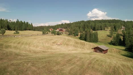 Drohne-Gleitet-Tief-über-Grasland,-Unbefestigte-Straße-Und-Grasende-Braune-Pferde-An-Einem-Sonnigen-Tag