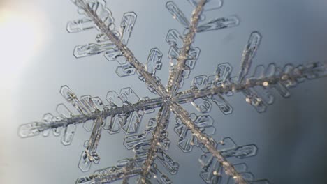 snowflake ice crystals stellar dendrites under microscope macro large magnification close up