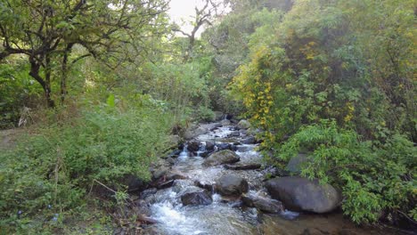 un arroyo cristalino cae en cascada por una majestuosa montaña mientras admiras la impresionante belleza natural del paisaje circundante