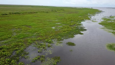 wetlands of northeast argentina shooted with drone