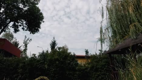 Hermoso-Jardín-Con-Un-Estanque-Entre-árboles-Y-Cielo-Azul