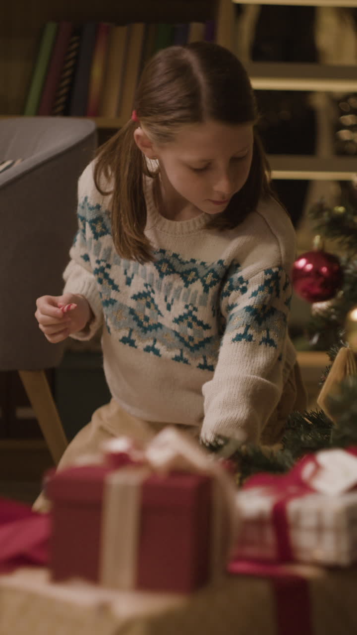 Christmas Gifts and Holiday Cheer