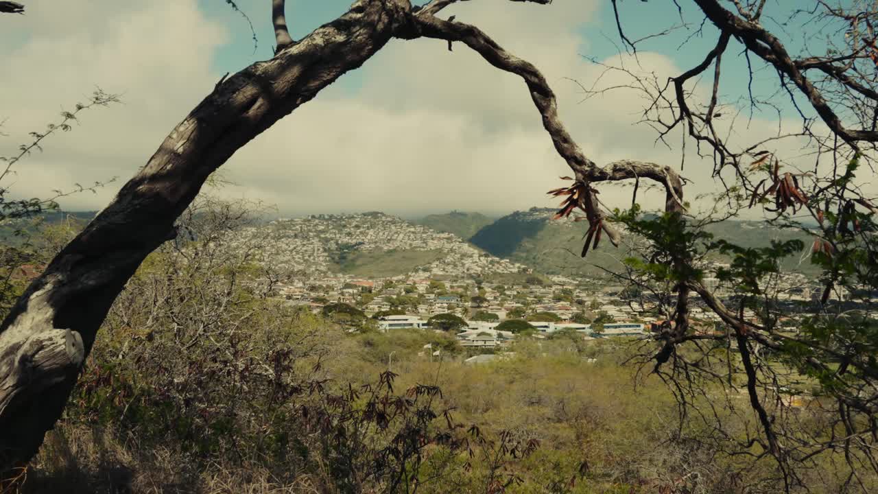 fotografía estática a través de las ramas de los árboles de una ciudad situada en las montañas de oahu hawai cerca de diamond head