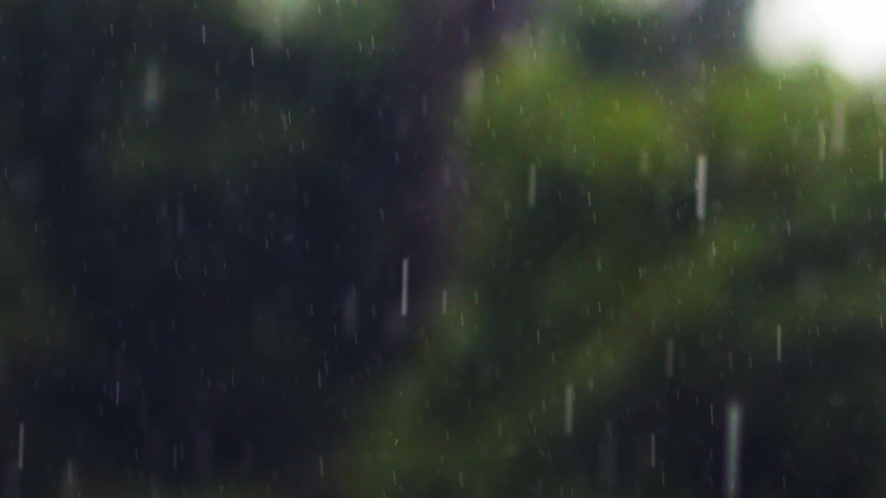 tykke regndråber i forgrunden i fokus med en sløret grøn natur i baggrunden - nærbillede