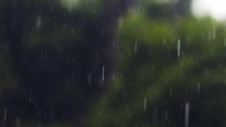 Grandes gotas de lluvia en primer plano y enfocadas, con un fondo de naturaleza verde difuminada - primer plano.