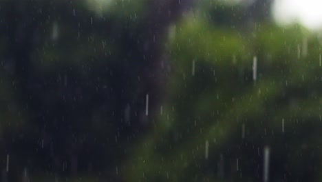 gruesas gotas de lluvia en primer plano enfocadas con una naturaleza verde borrosa en el fondo - primer plano