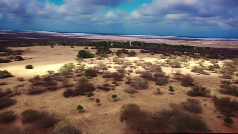 under hot summer sky barren land in south america and impact of low rainfall