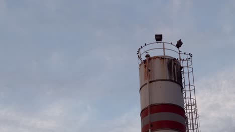 Una-Chimenea-Industrial-Se-Alza-Contra-Un-Cielo-Nublado,-Con-Pájaros-Posados-Encima-De-Ella-Sobre-Cables.