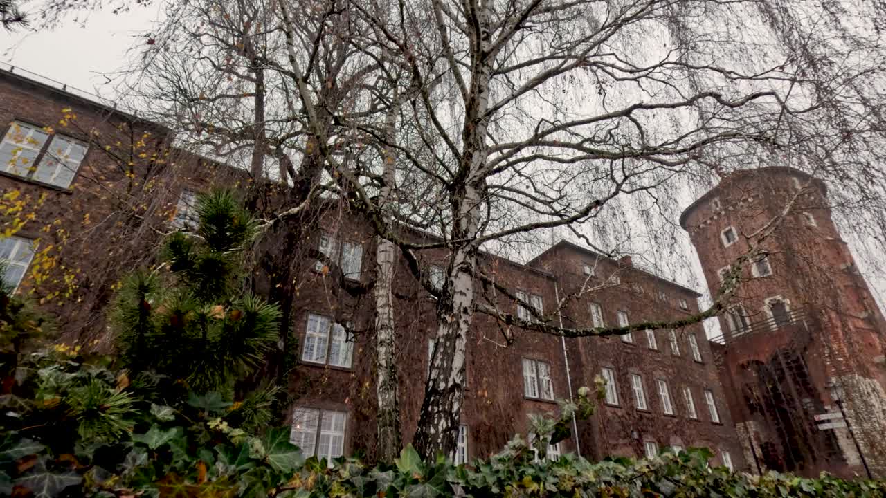 Uno sguardo a un vecchio edificio nella Città Vecchia caratterizzato da architettura in mattoni e un albero alto durante la stagione invernale. Il cielo è nuvoloso, il che contribuisce all'atmosfera storica della zona.