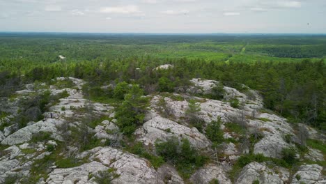 Aerial-flyover-rocky-mountaintop-to-lush-forest-reveal