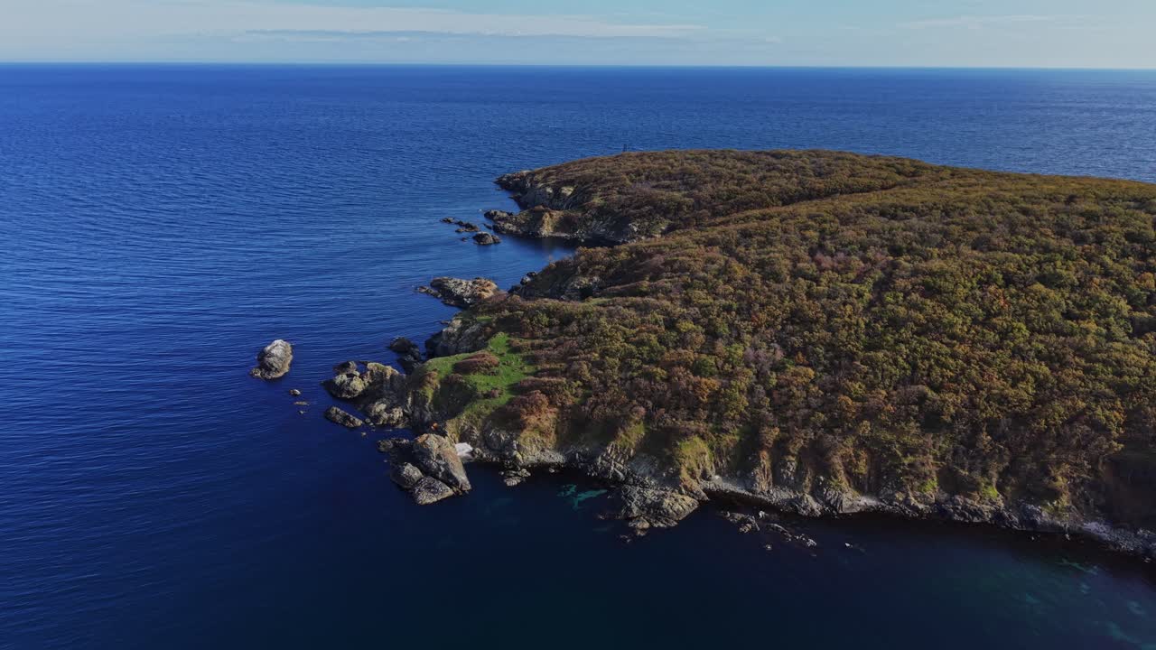 Aerial view of a rugged coastline and forested cliffs by the ocean