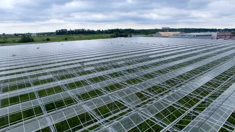 a ridged roof of a large flower nursery.