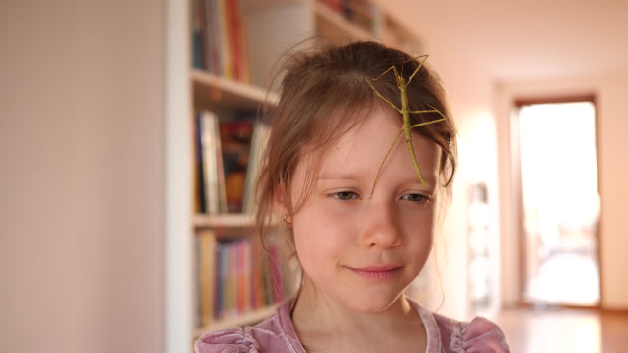 милая девочка портрет держит палку насекомое домашнее животное в руках и положить его на ее лице дома весело и улыбка