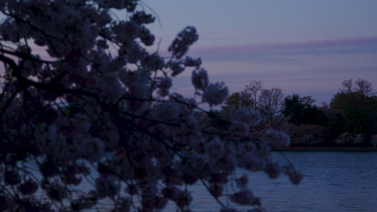 o memorial jefferson em washington d.c.