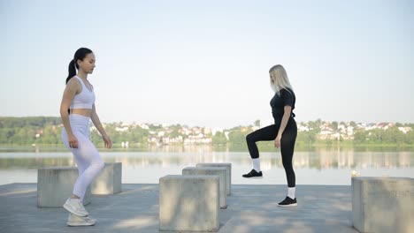 sporty women in sportswear doing exercises outdoors near the lake sporty women in sportswear doing exercises outdoors near the lake