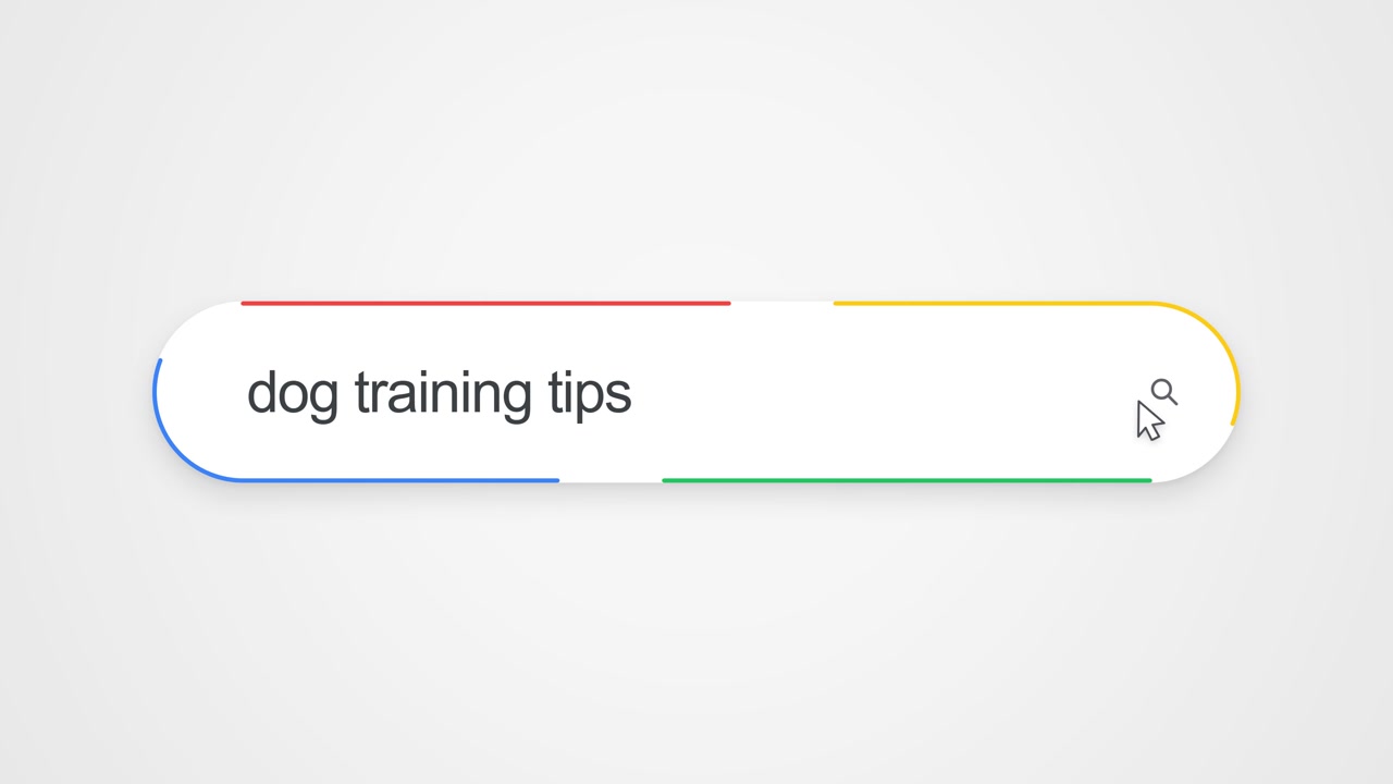Close-up view of typing "dog training tips" into an online search bar, illustrating pet care research and training guidance