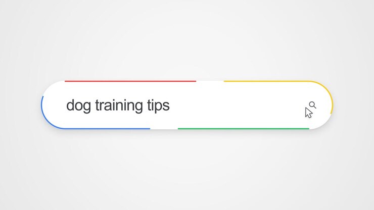Close-up view of typing "dog training tips" into an online search bar, illustrating pet care research and training guidance