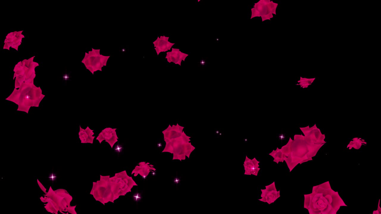 은 장미 입자 루프 애니메이션