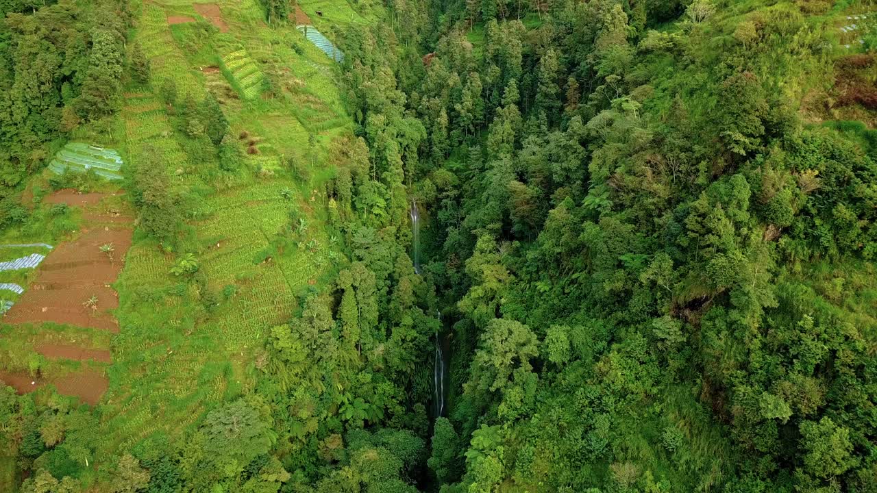 cascada natural en la montaña rodeada de árboles forestales profundos y densos a la luz del sol - antena arriba hacia abajo