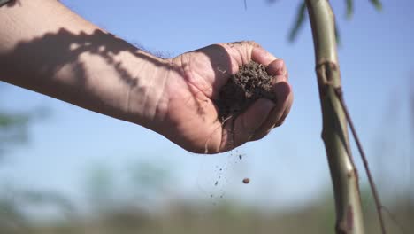 a hand gently releasing soil, symbolizing a tender and caring gesture towards the earth, nurturing and connecting with the land