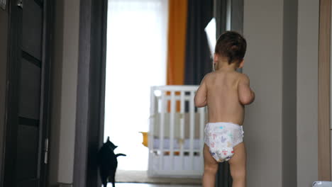caucasian naked toddler in a diaper walks by the room. kid comes up to a cat, touches it and then runs up to camera.
