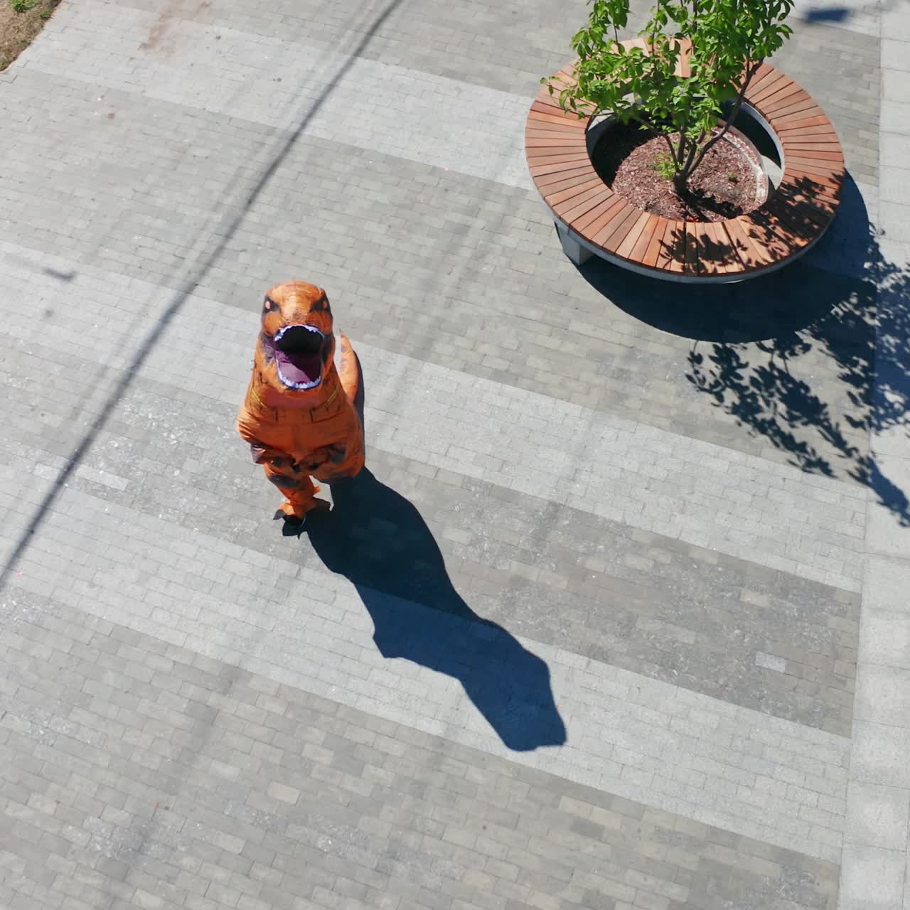Somebody in funny costume of dinosaur walking along the street. Orange and brown animal suit from aerial perspective