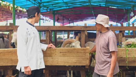 muslim man picking a goat to buy and negotiate with farmer at the cattle farm. islamic and eid al adha concept.