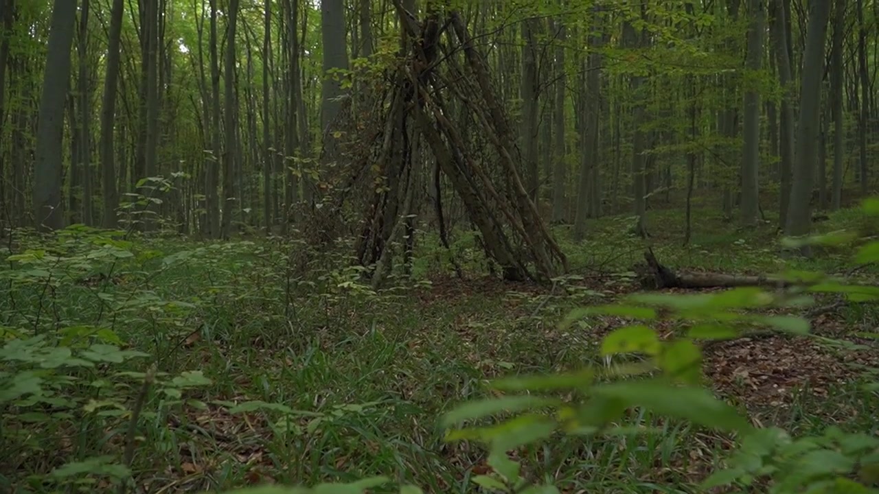 Rifugio artigianale di rami costruito con rami in una fitta foresta. Capanna di sopravvivenza primitiva circondata da fogliame verde del bosco e arbusti estivi
