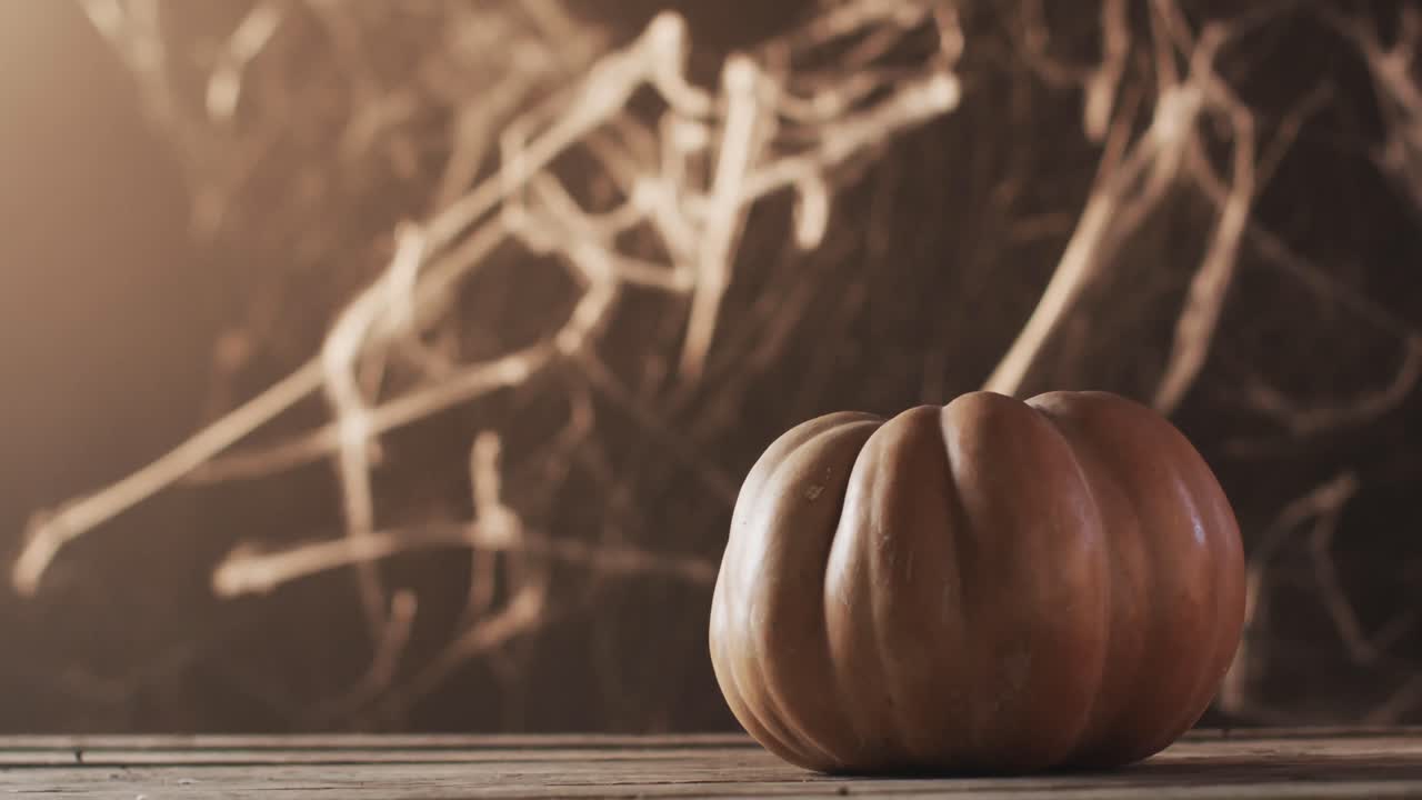 Video of halloween pumpkin with spider's web and copy space on brown background