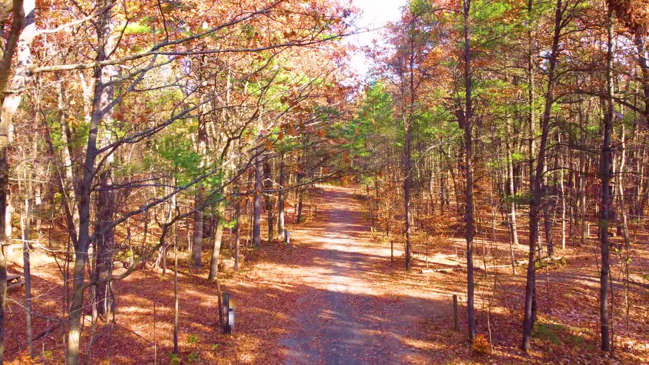 Beautiful forest pathway on sunny day, aerial view