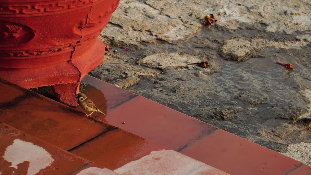 entrada de un templo en phan sonó