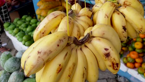 a fresh bunch of yellow bananas hanging on a stall at the local fruit and vegetable market in timor leste, south east asia