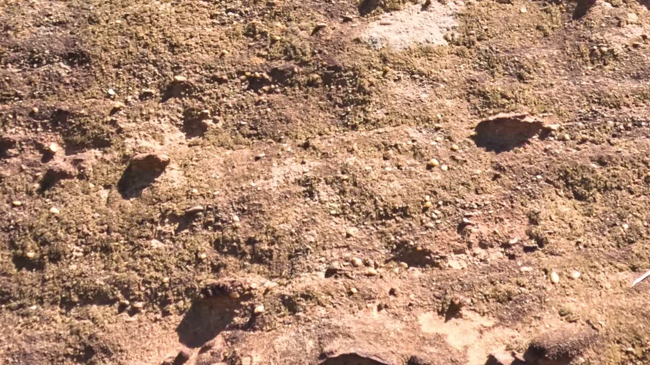 Close-up view of sunlit desert ground showing shadows and textured surface details.