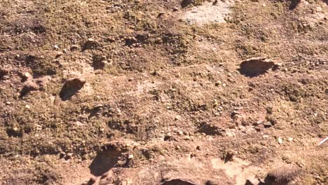 close-up view of sunlit desert ground showing shadows and textured surface details.
