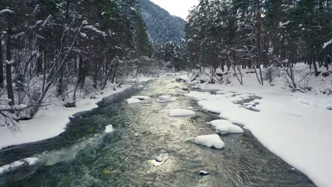 Beautiful-snow-scene-forest-in-winter.-Flying-over-of-river-and-pine-trees-covered-with-snow.