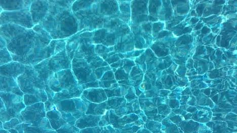 seamless loopable background of ripples on swimming pool water, top-down