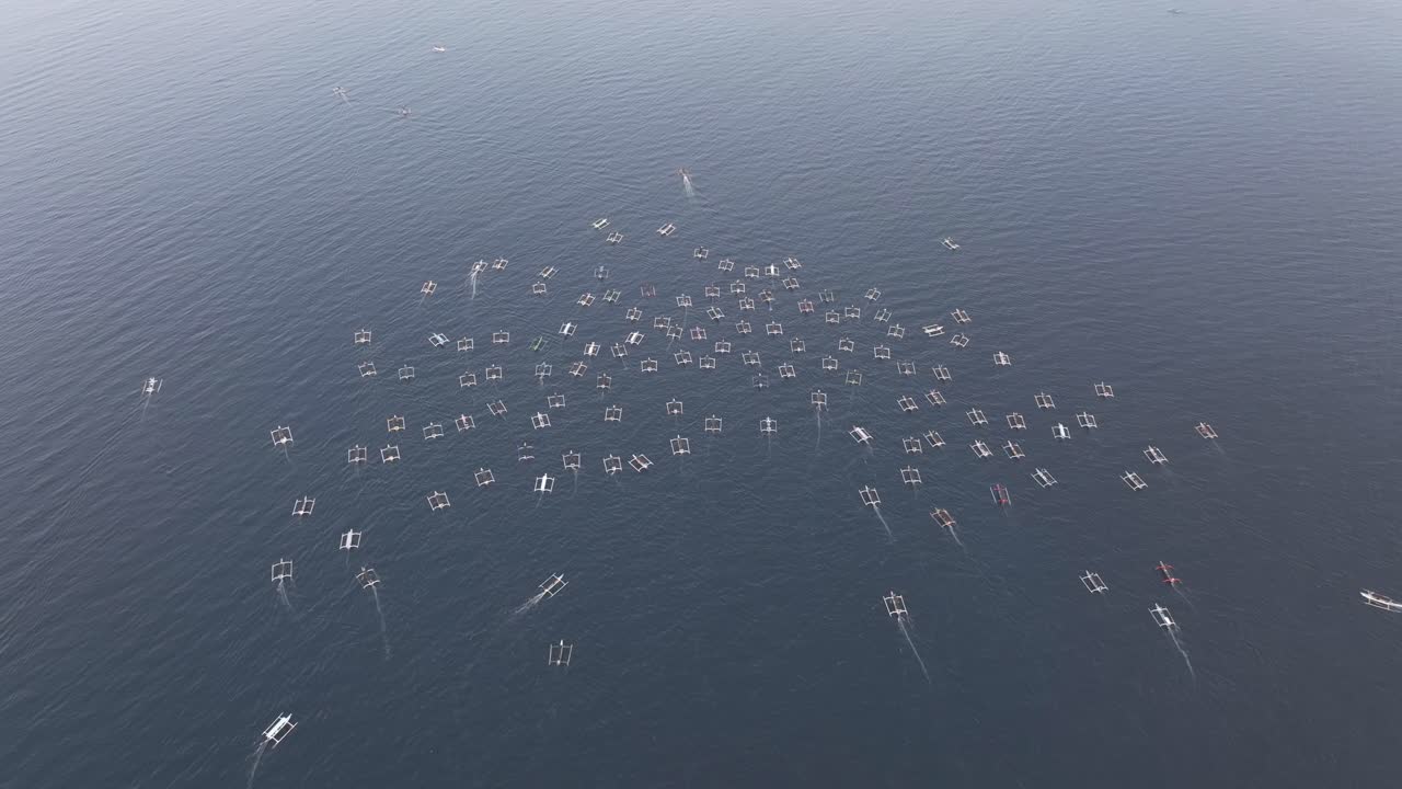 Turbåde samles til delfinsafari ved solopgang nær Balis kyst