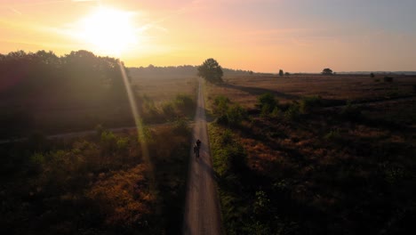 Aerial-Over-Golden-Orange-Sunset-De-Hoge-Veluwe-National-Park-With-Silhouette-Of-Cyclists-Going-Past