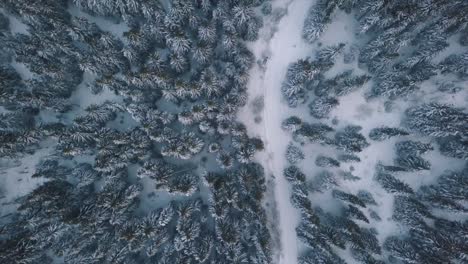 vuelo suave hacia adelante sobre una carretera de montaña en invierno