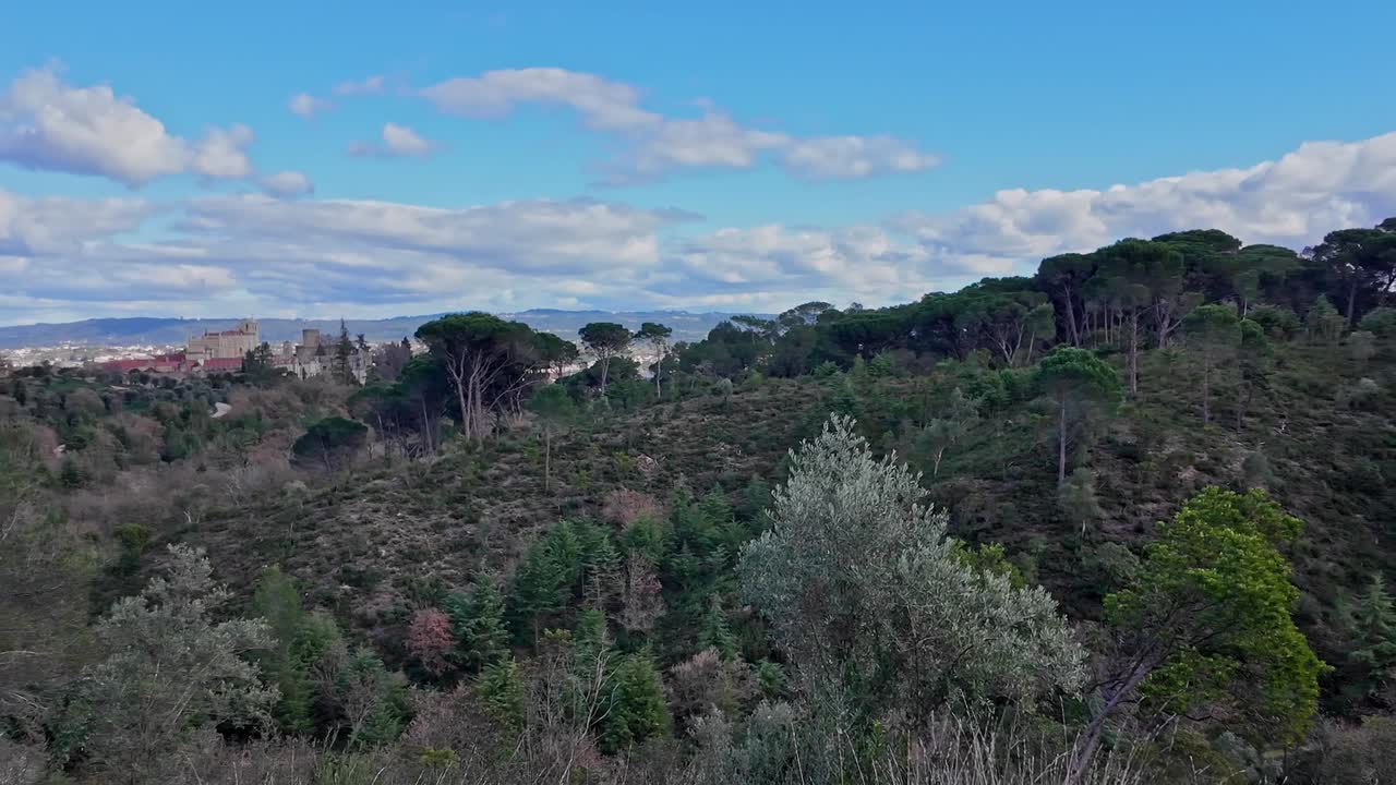 Vista panoramica della foresta vicino a Tomar, Portogallo, sotto cieli azzurri e sereni.