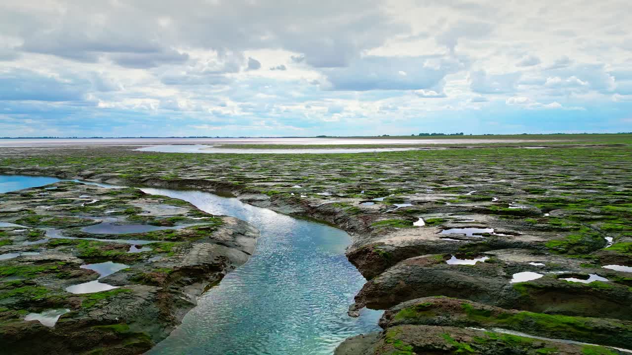 소금 습지 에서 균열 된 진 평면