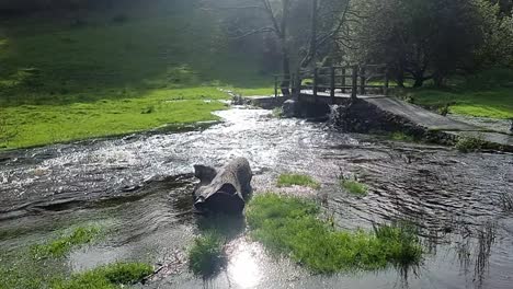 overflowing burst shimmering riverbank flooding peaceful sunlit north wales meadow under wooden bridge crossing